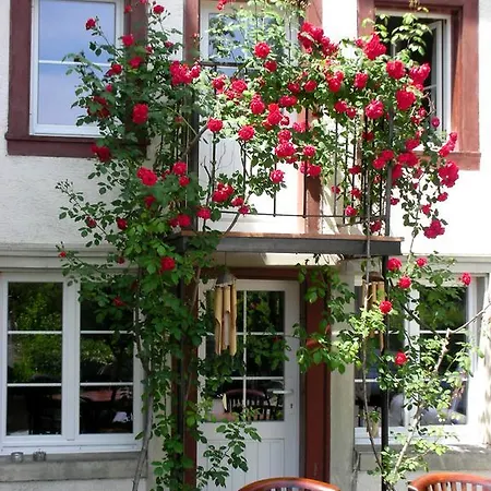 Guest house Rhyweg4